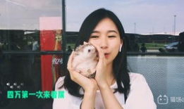 妈妈的朋友2视频,温馨回忆与亲情共鸣